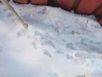 High angle view of hand holding ice cream