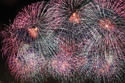 Low angle view of firework display at night