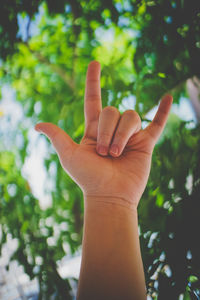 Close-up of hand gesturing horn sign against tree