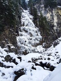 Scenic view of snow covered landscape