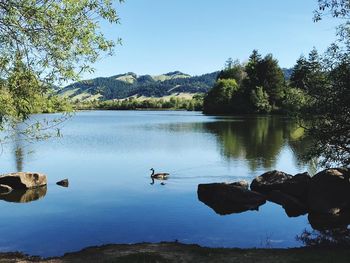 Scenic view of lake by mountains against clear sky