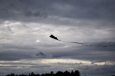 Low angle view of silhouette birds flying against sky