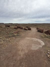 Scenic view of land against sky