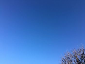 Low angle view of clear blue sky