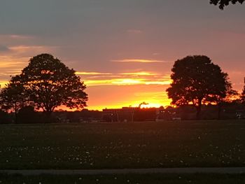 Silhouette trees on field against sky during sunset