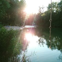 Reflection of trees in lake against sky