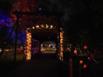 Illuminated buildings by trees at night