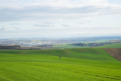 Scenic view of agricultural landscape against sky