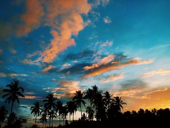 Low angle view of silhouette trees against sky