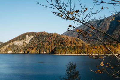 Scenic view of lake against clear sky during autumn