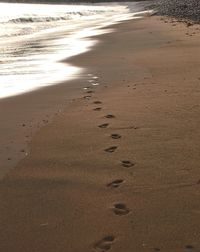 Footprints on sand at beach