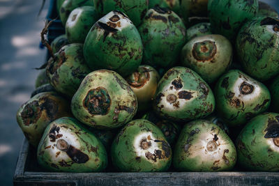 High angle view of coconuts for sale