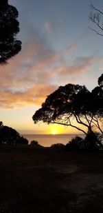 Silhouette tree against sky during sunset