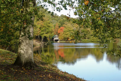 Scenic view of lake in forest