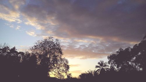 Silhouette of trees against cloudy sky