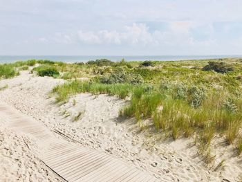 Scenic view of beach against sky