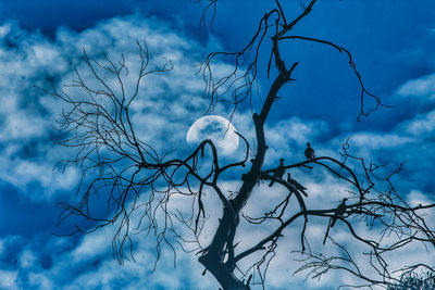 Low angle view of bare tree against cloudy sky