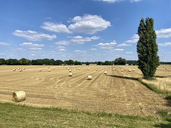 Hay bales on field against sky