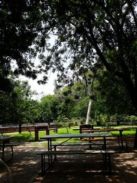 Empty park against trees