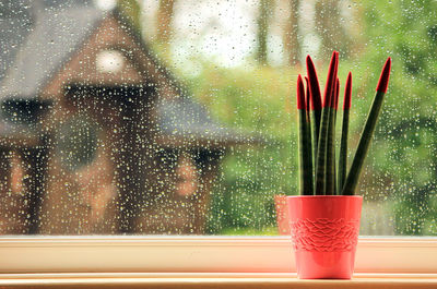 Close-up of water on window