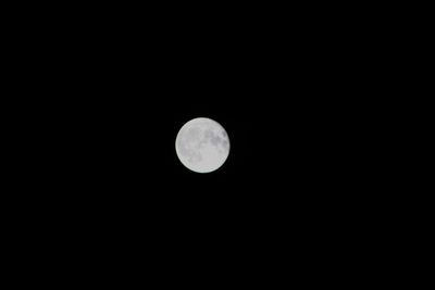 Low angle view of moon against clear sky