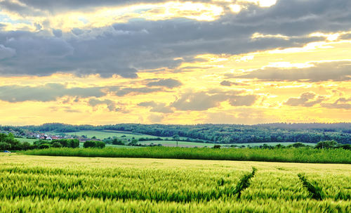 Scenic view of field against cloudy sky