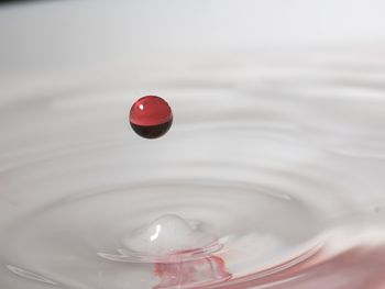 Close-up of water drop