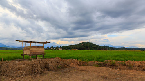 Scenic view of agricultural field against sky