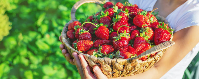 Midsection of woman holding strawberries