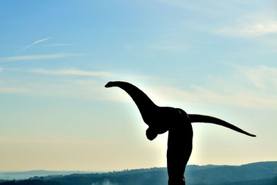 Silhouette of man standing against sky