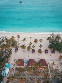 Aerial view of beach