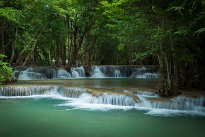 Scenic view of waterfall in forest