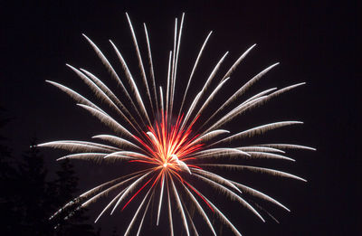 Low angle view of fireworks against sky at night