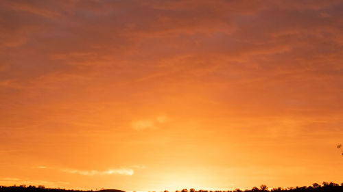 Low angle view of orange sky