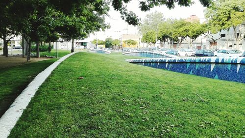 Swimming pool in park