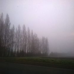 fog