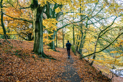 Rear view of person walking on footpath during autumn