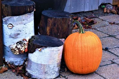 High angle view of pumpkins on wood