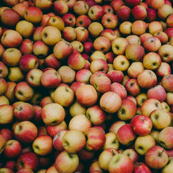 Full frame shot of apples in market