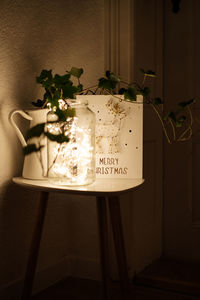 Close-up of potted plant on table at home