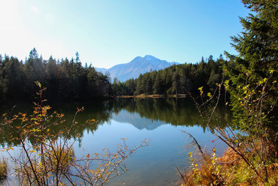 Scenic view of lake in forest against clear sky