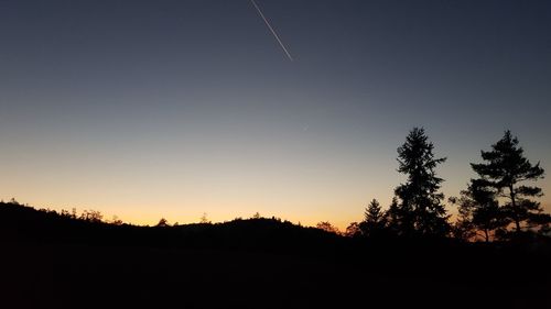 Silhouette trees against clear sky during sunset