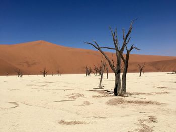 Scenic view of desert against clear blue sky