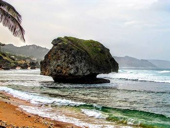 View of rocks on beach