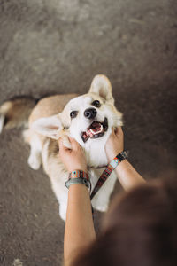 High angle portrait of woman holding dog