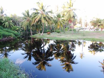 Reflection of trees in lake against sky