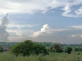 Scenic view of landscape against sky