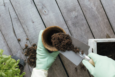 Gardening hobby concept. eco pot, green plant, gardener hands in gloves, shovel on wooden background