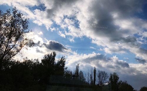 Low angle view of silhouette trees against sky