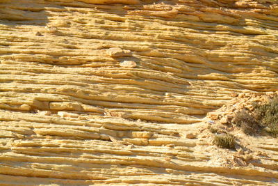 Aerial view of desert